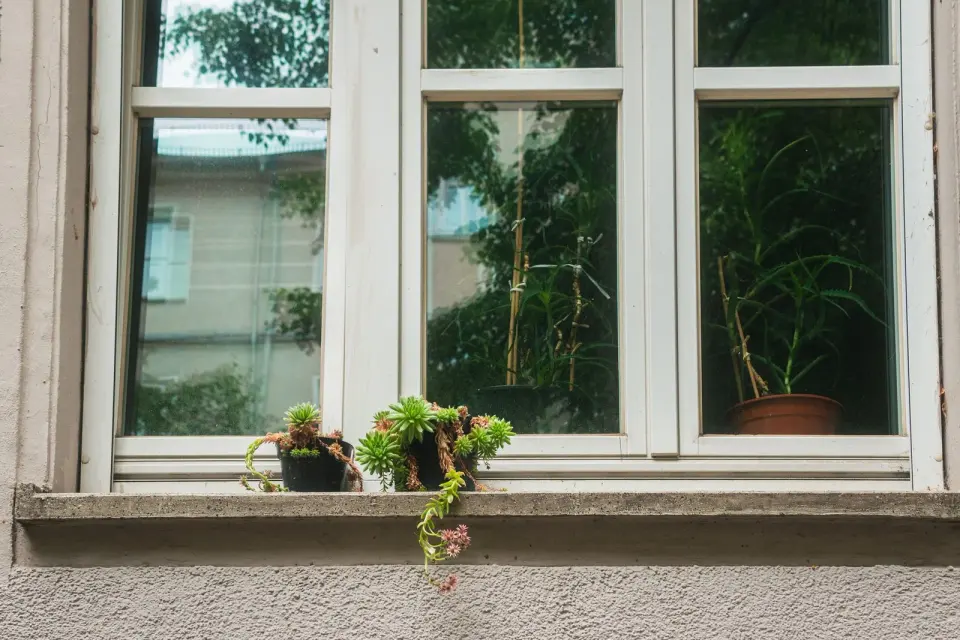 Vierteaguas exterior de hormigón con vuelo bajo una ventana blanca de varias hojas, con dos macetas de plantas crasas encima