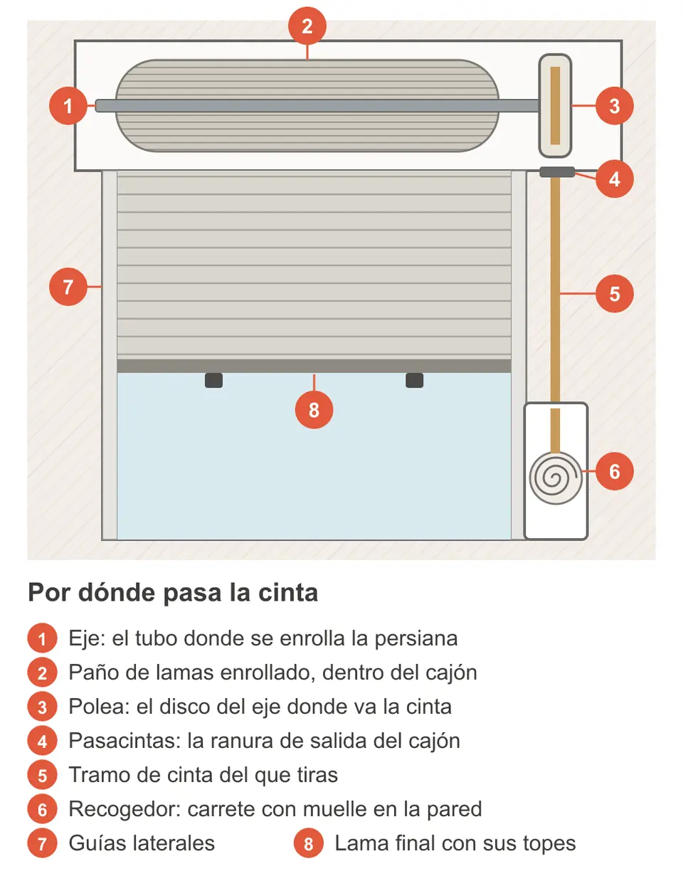 Esquema de una persiana de cinta: eje y paño enrollado en el cajón, polea, pasacintas, tramo de cinta, recogedor con muelle, guías y lama final con topes