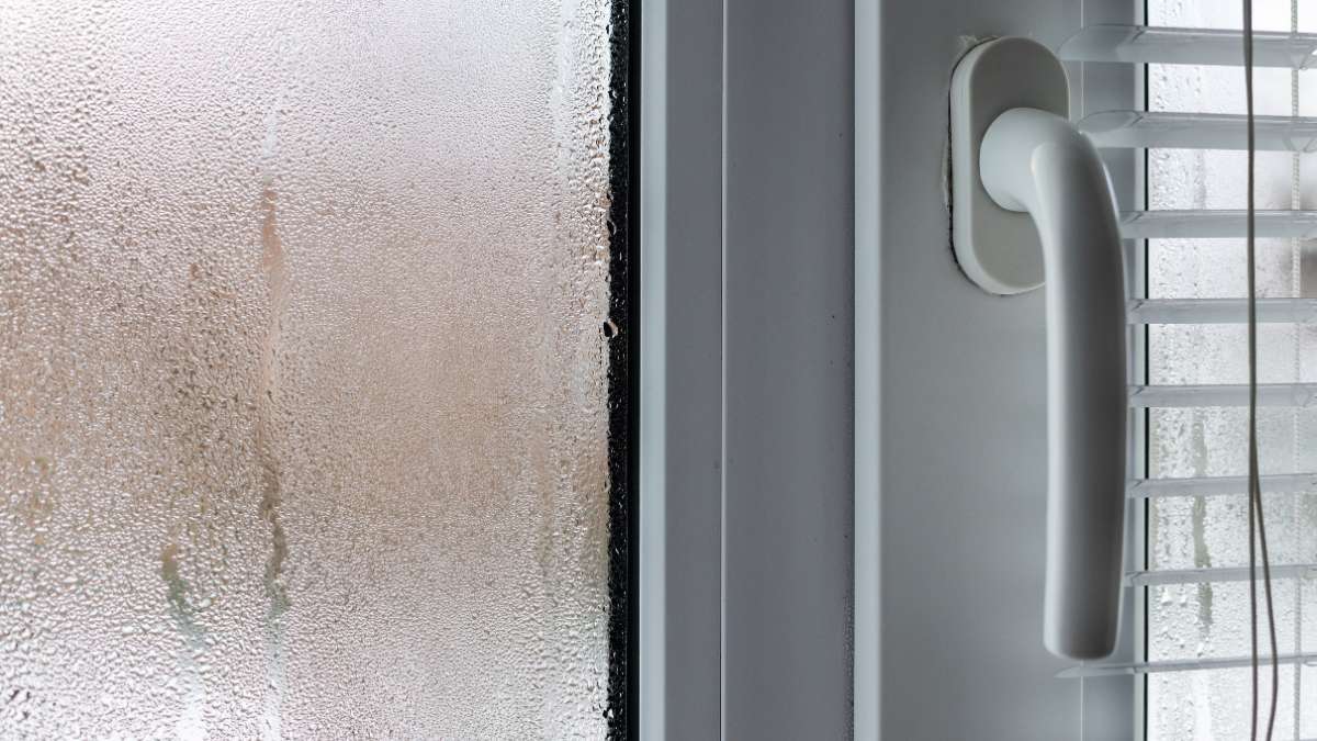 Condensación Ventanas