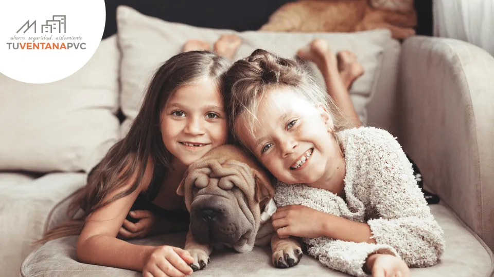 ¿Cómo proteger las ventanas si tienes niños o mascotas en casa?